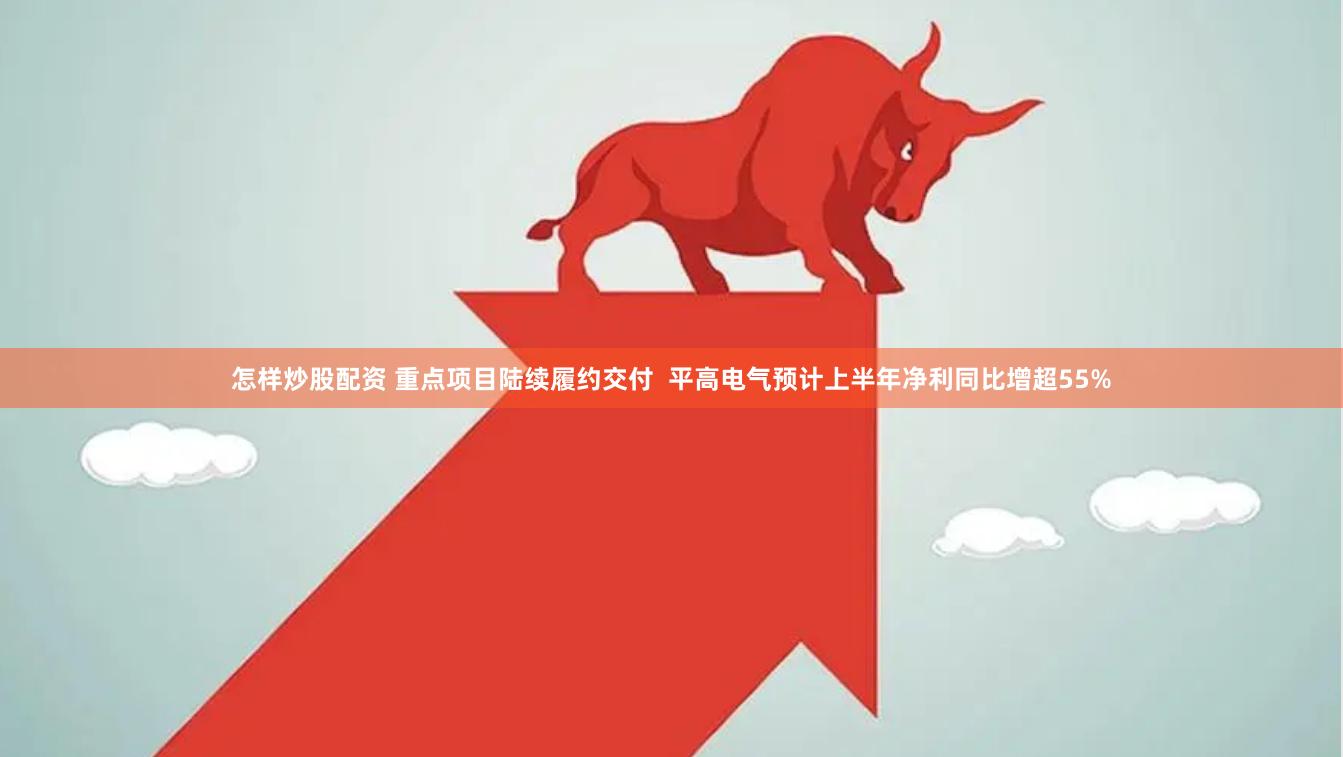 怎样炒股配资 重点项目陆续履约交付  平高电气预计上半年净利同比增超55%