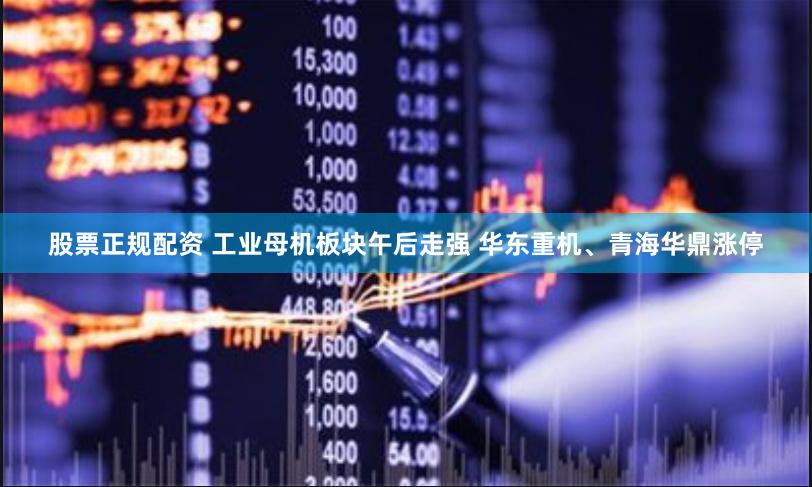 股票正规配资 工业母机板块午后走强 华东重机、青海华鼎涨停
