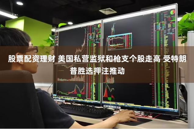股票配资理财 美国私营监狱和枪支个股走高 受特朗普胜选押注推动