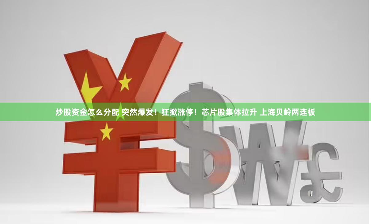 炒股资金怎么分配 突然爆发！狂掀涨停！芯片股集体拉升 上海贝岭两连板