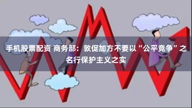 手机股票配资 商务部：敦促加方不要以“公平竞争”之名行保护主义之实