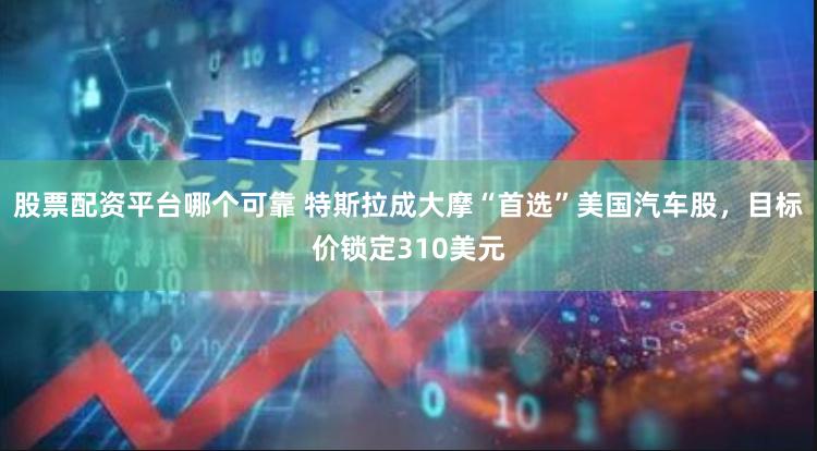股票配资平台哪个可靠 特斯拉成大摩“首选”美国汽车股，目标价锁定310美元