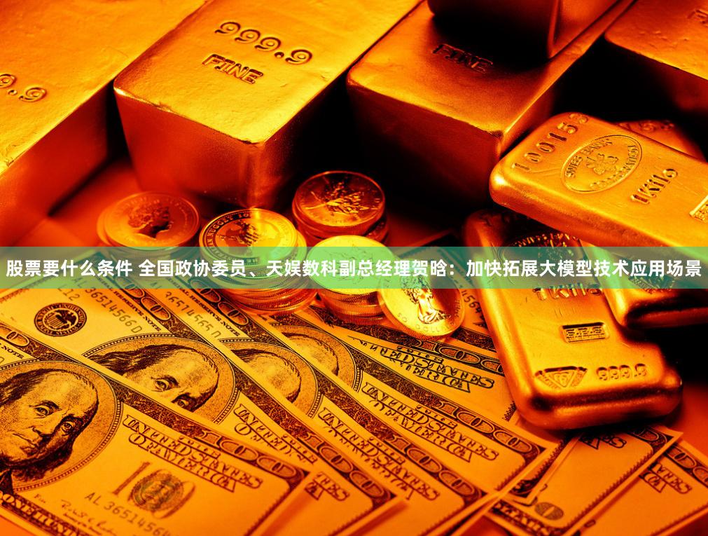 股票要什么条件 全国政协委员、天娱数科副总经理贺晗：加快拓展大模型技术应用场景