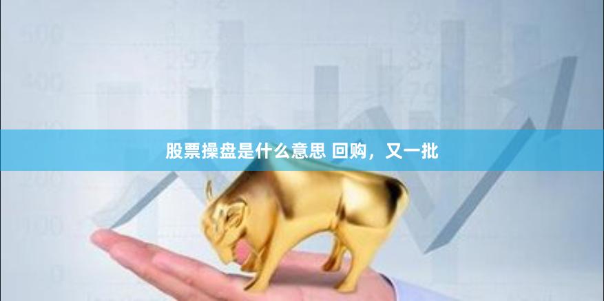 股票操盘是什么意思 回购，又一批