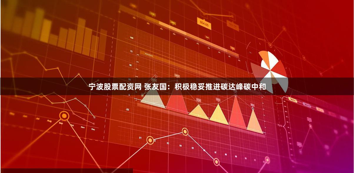 宁波股票配资网 张友国：积极稳妥推进碳达峰碳中和