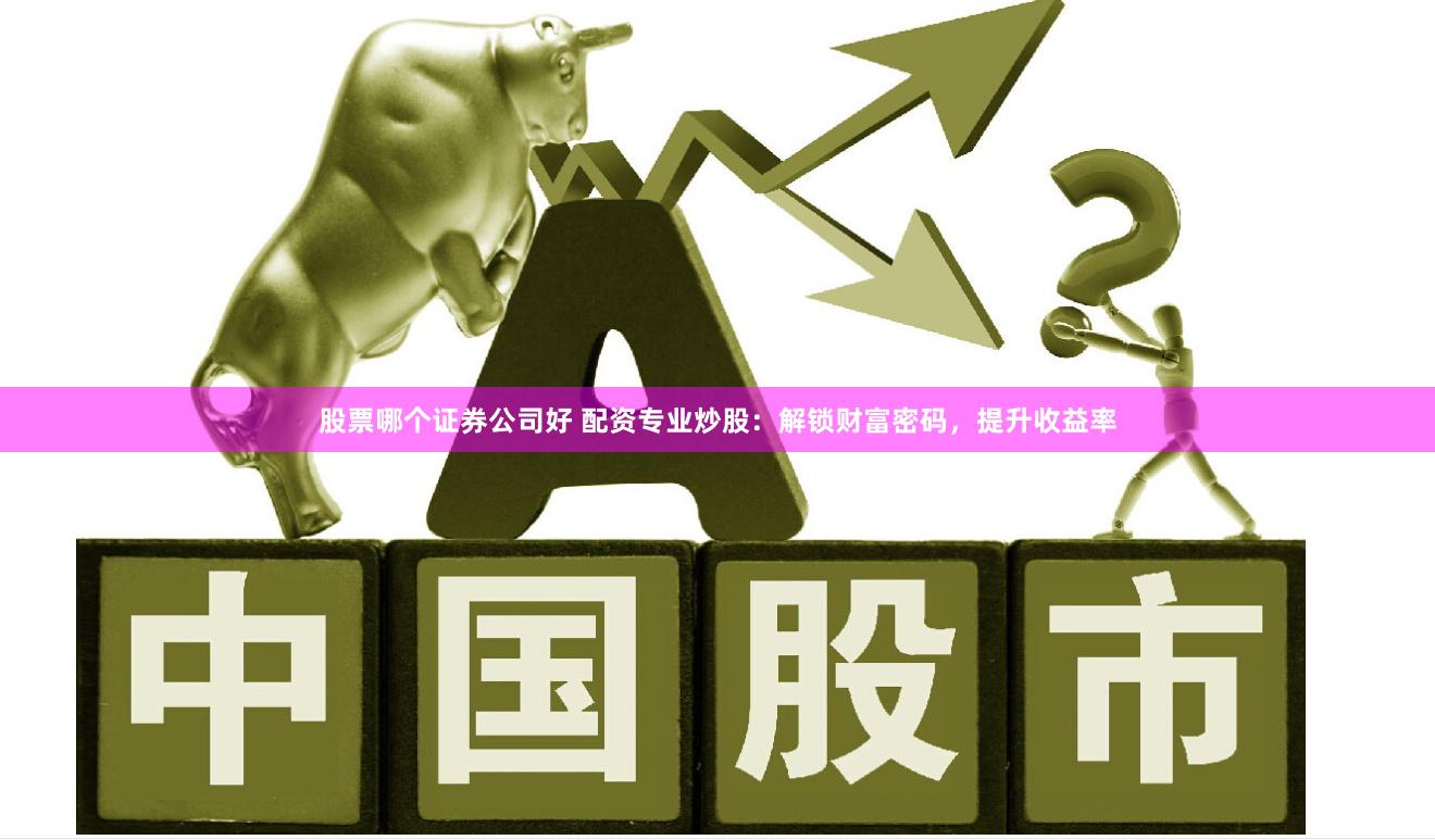股票哪个证券公司好 配资专业炒股：解锁财富密码，提升收益率